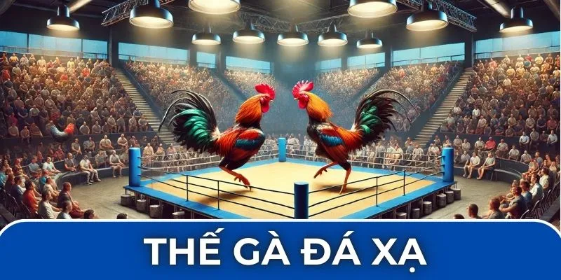 Thế gà đá xạ